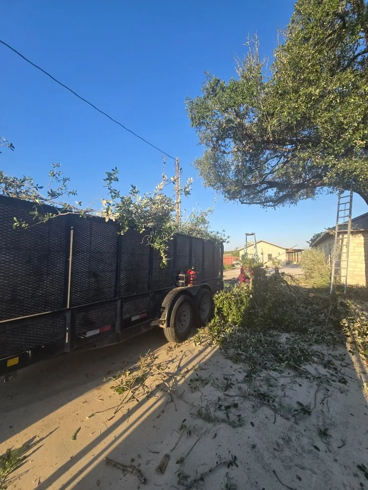 Local garden landscaping experts serving San Antonio, TX - Hernandez Tree Services