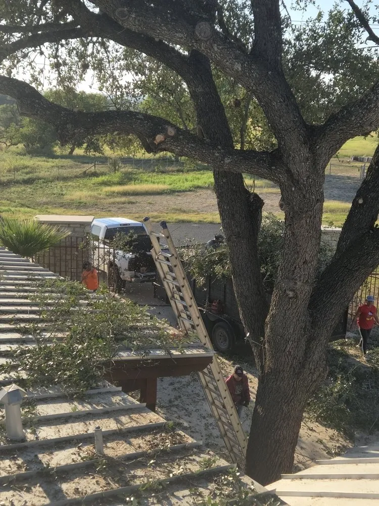 Local lawn care service near you in San Antonio, TX by Hernandez Tree Services