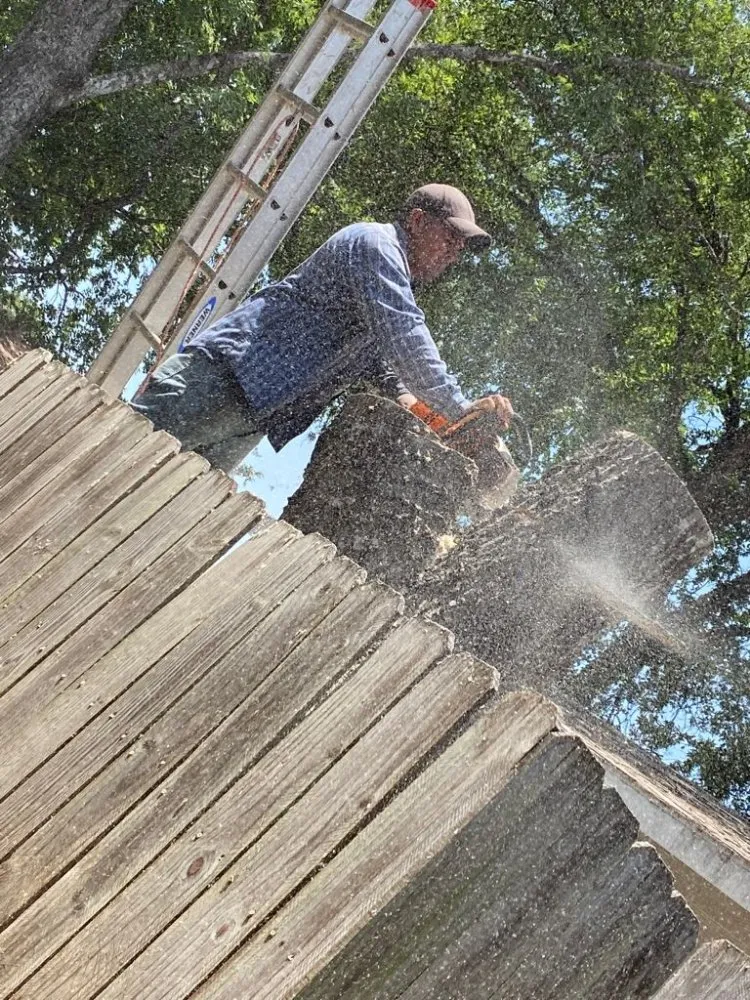 Top-rated garden landscaping in San Antonio, TX by Hernandez Tree Services