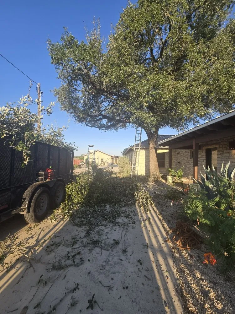 Local outdoor landscaping experts serving San Antonio, TX - Hernandez Tree Services