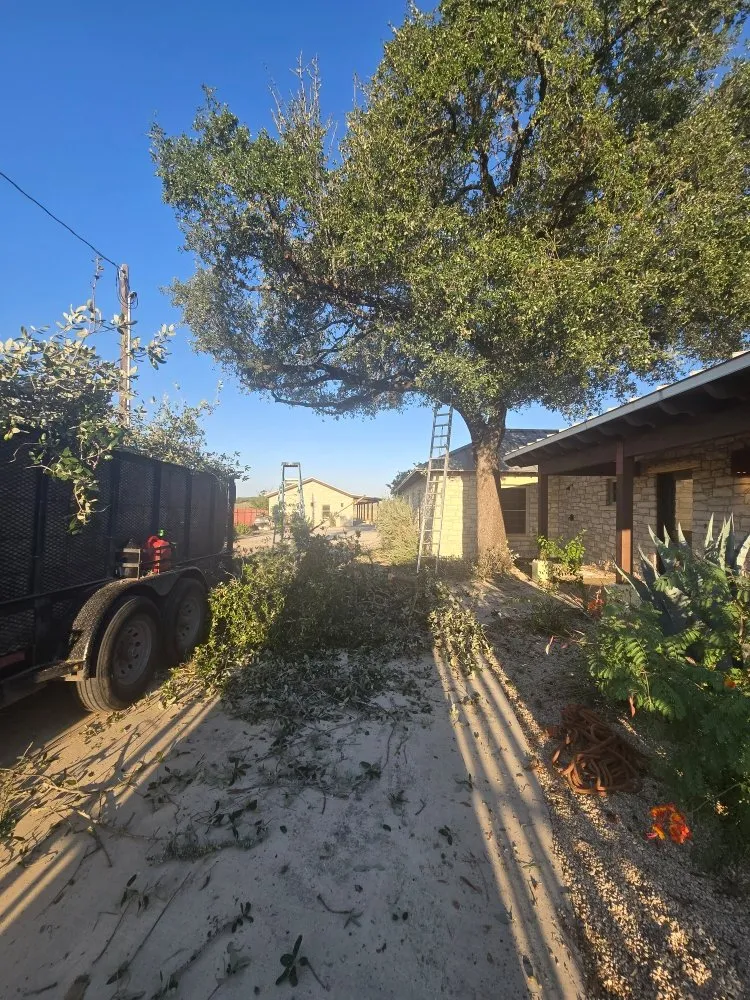 Local residential landscaping for year-round maintenance in San Antonio, TX by Hernandez Tree Services