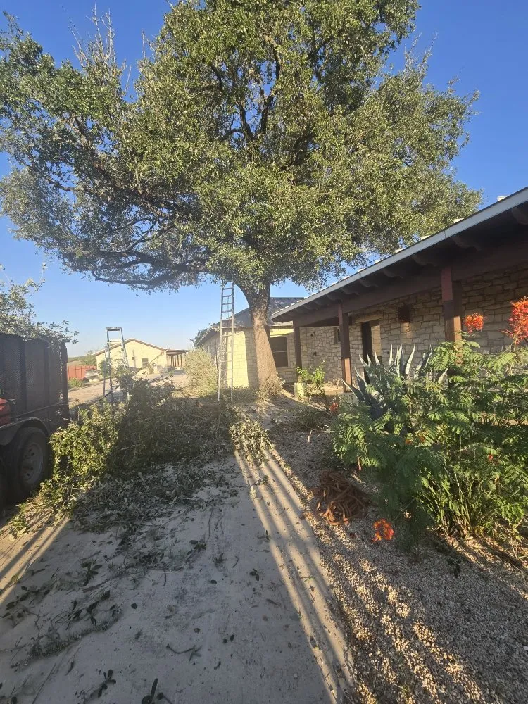 Trusted garden landscaping near you in San Antonio, TX by Hernandez Tree Services