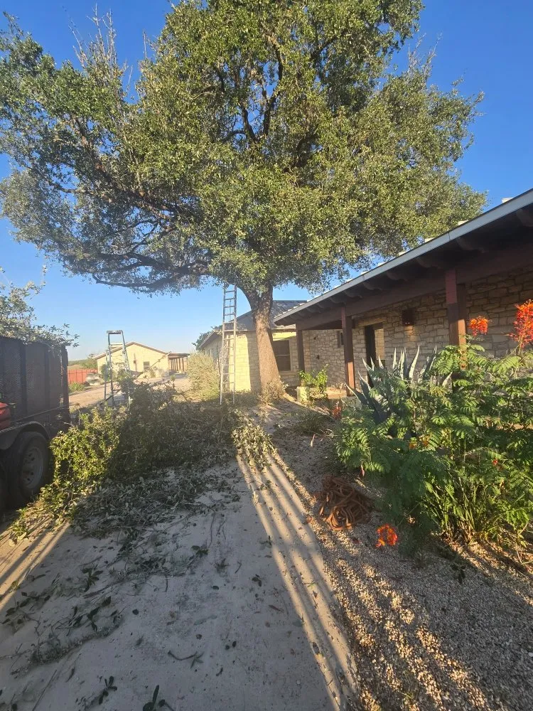 Trusted residential landscaping experts serving San Antonio, TX - Hernandez Tree Services