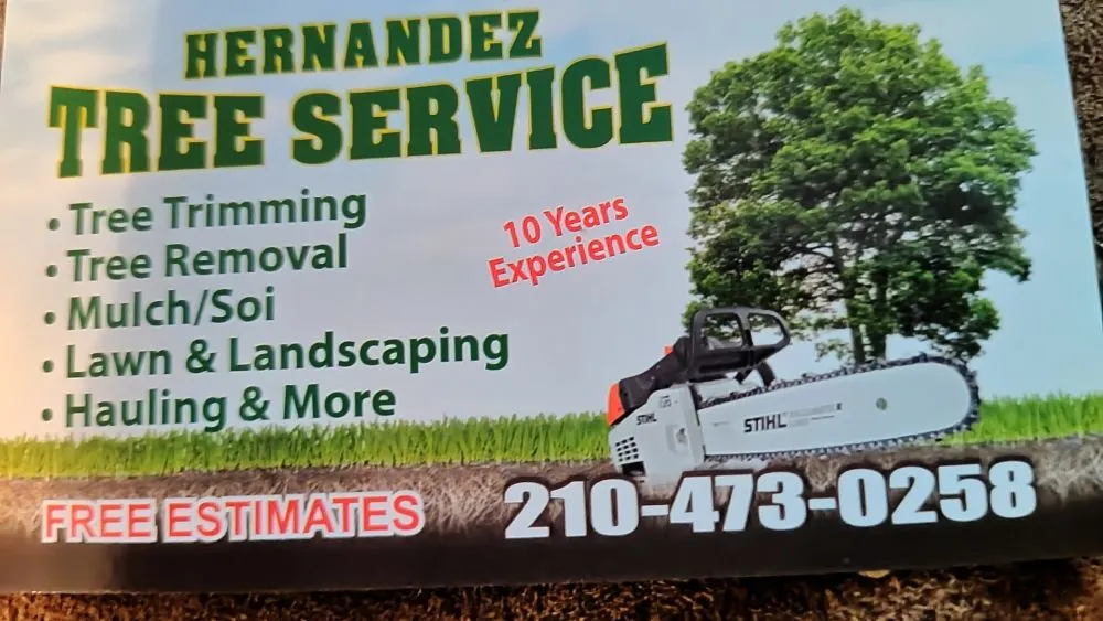 Professional lawn mowing service experts serving San Antonio, TX - Hernandez Tree Services