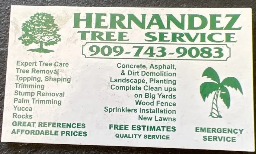 Professional garden landscaping for outdoor upgrades in Upland, CA by Hernandez Treee Service
