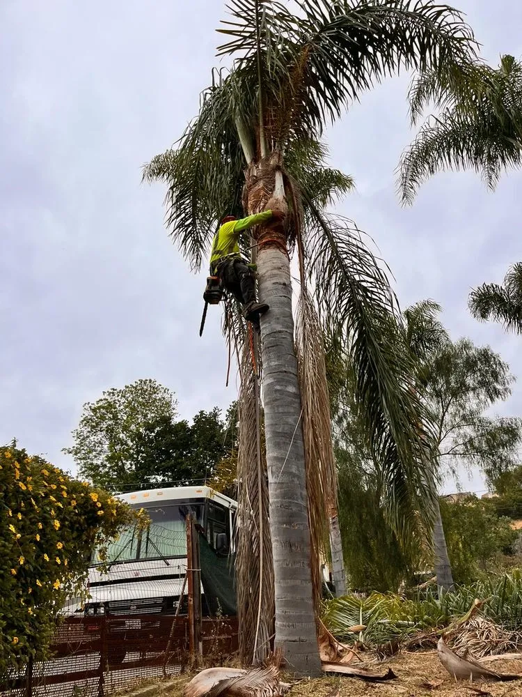 Top-rated lawn care service in Richmond, CA - Hernandez Trees & Landscape