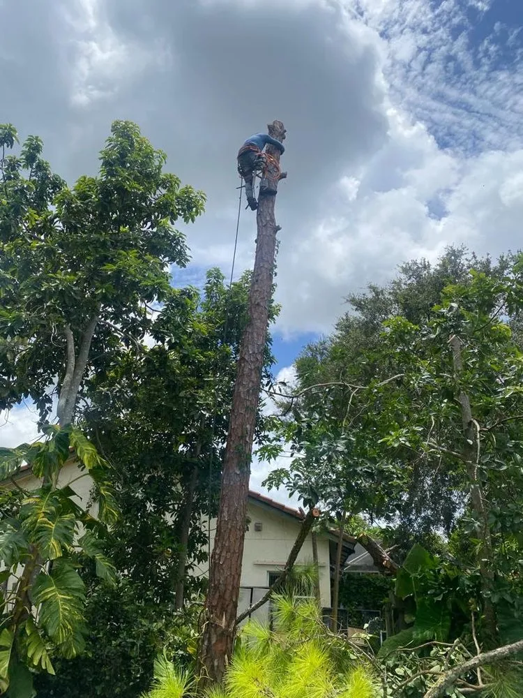 Reliable garden landscaping experts serving Richmond, CA - Hernandez Trees & Landscape