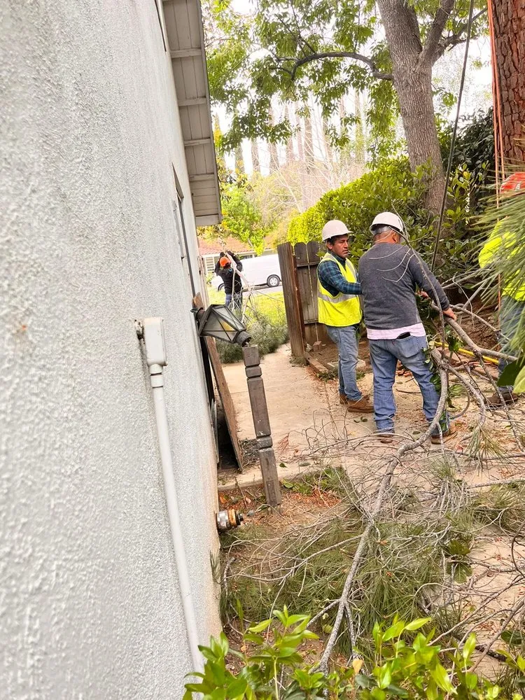 Reliable landscaping services in Richmond, CA - Hernandez Trees & Landscape