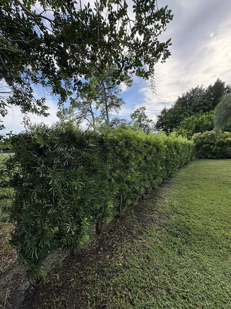 Affordable landscape installation in Naples, FL - Hernandez Varela Lawn Care