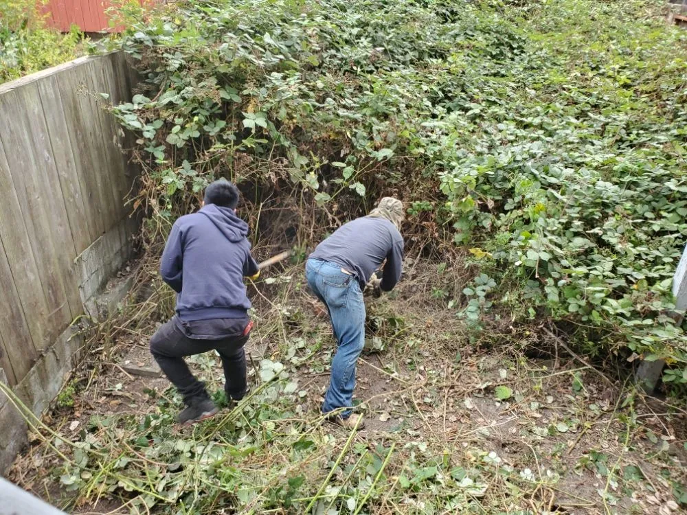 Custom yard maintenance in San Francisco, CA - Hernandez Yards