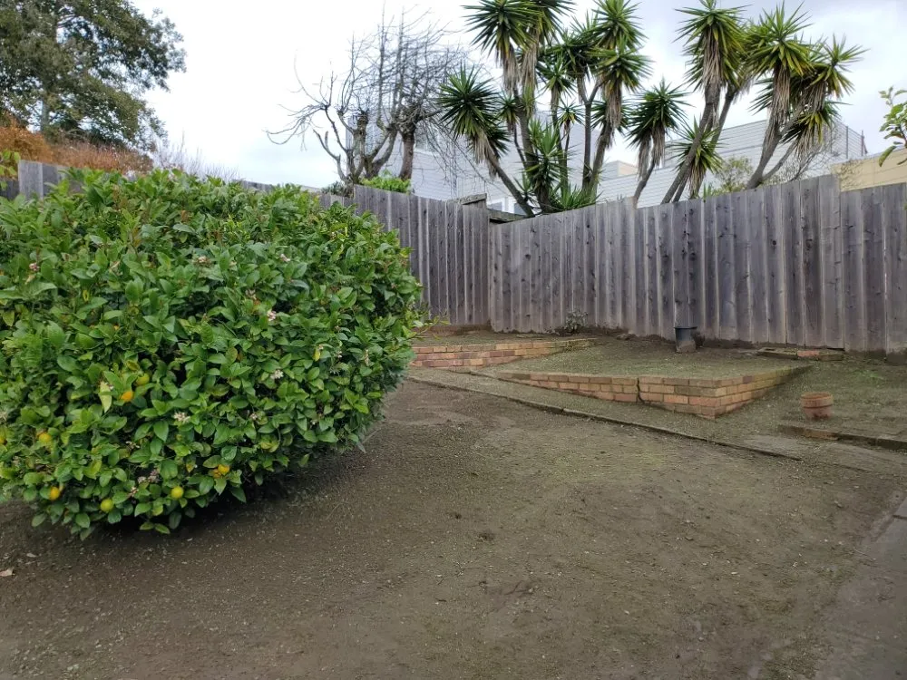 Custom landscape design experts serving San Francisco, CA - Hernandez Yards