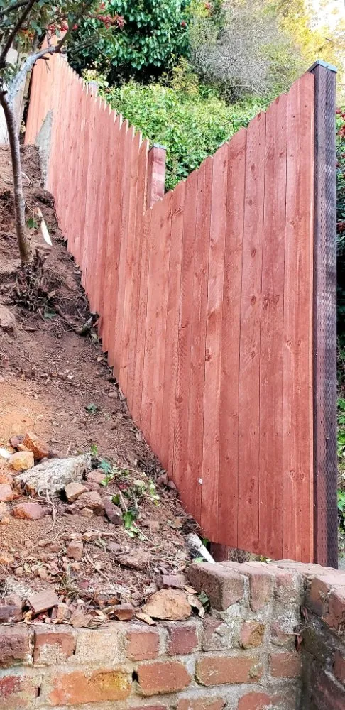 Professional landscaping services for year-round maintenance across San Francisco, CA - Hernandez Yards