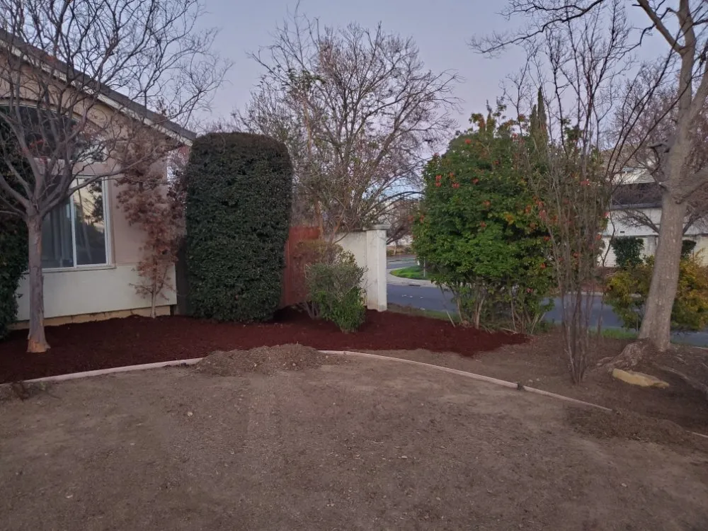 Expert lawn care service experts serving San Francisco, CA - Hernandez Yards