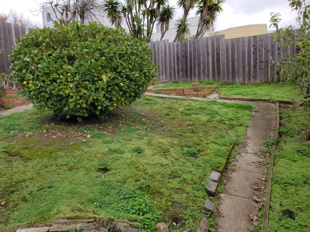 Professional garden landscaping in San Francisco, CA - Hernandez Yards