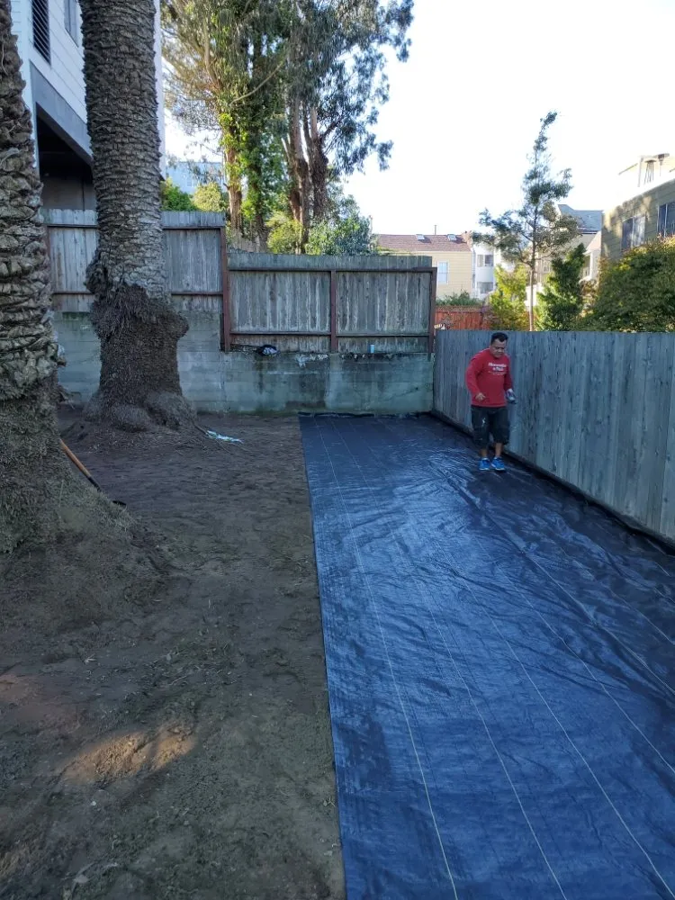 Trusted landscaping services in San Francisco, CA - Hernandez Yards