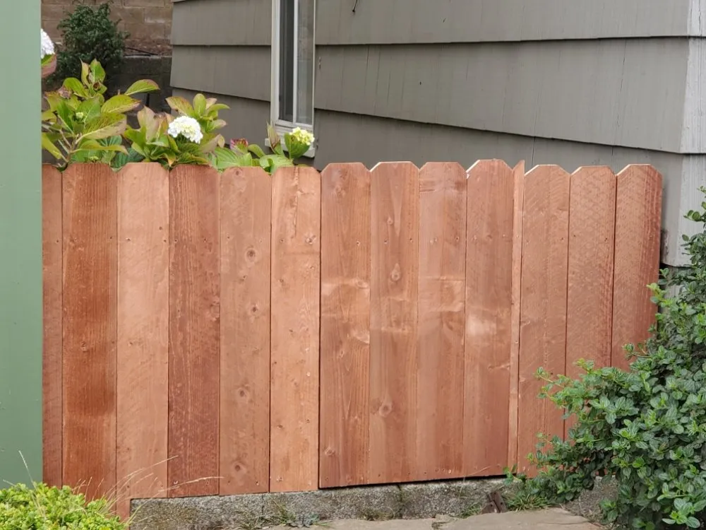 Professional yard maintenance in San Francisco, CA by Hernandez Yards