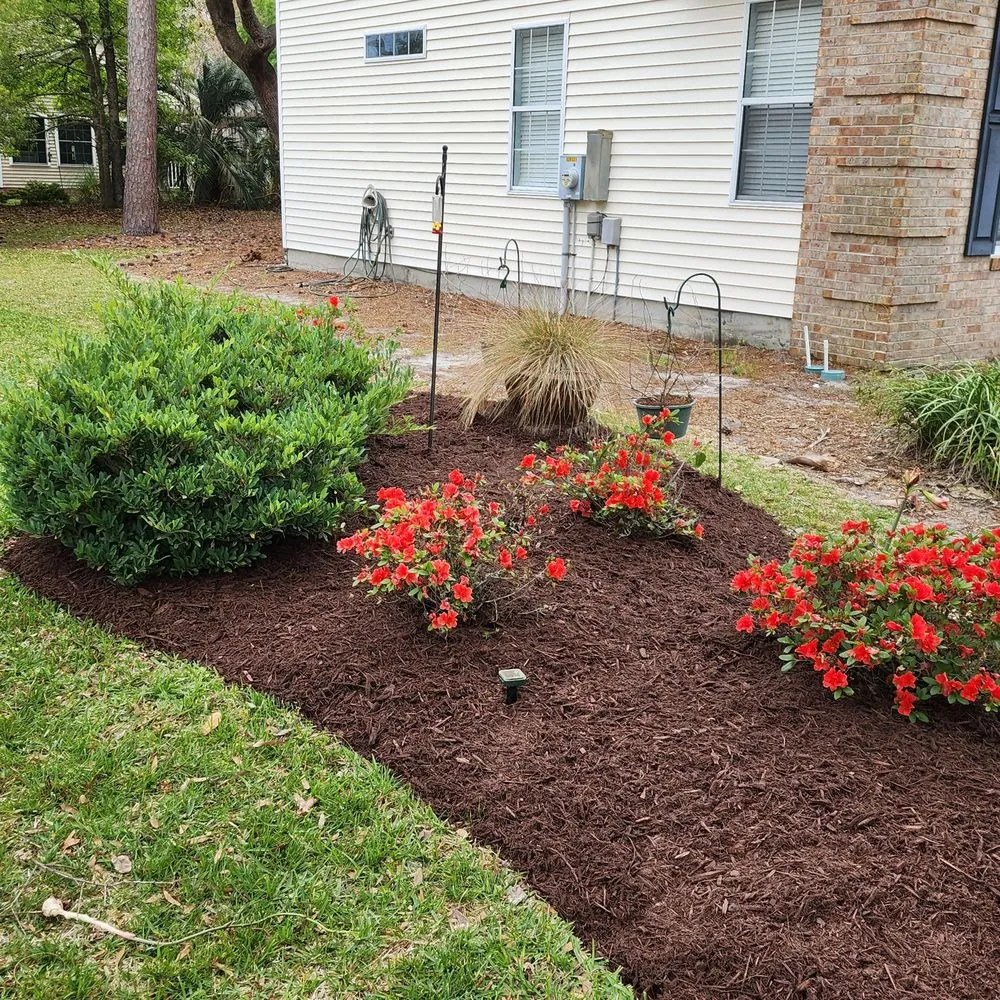Top-rated yard cleanup service for homes in Litchfield Beach, SC by Hernandez Yardscapes