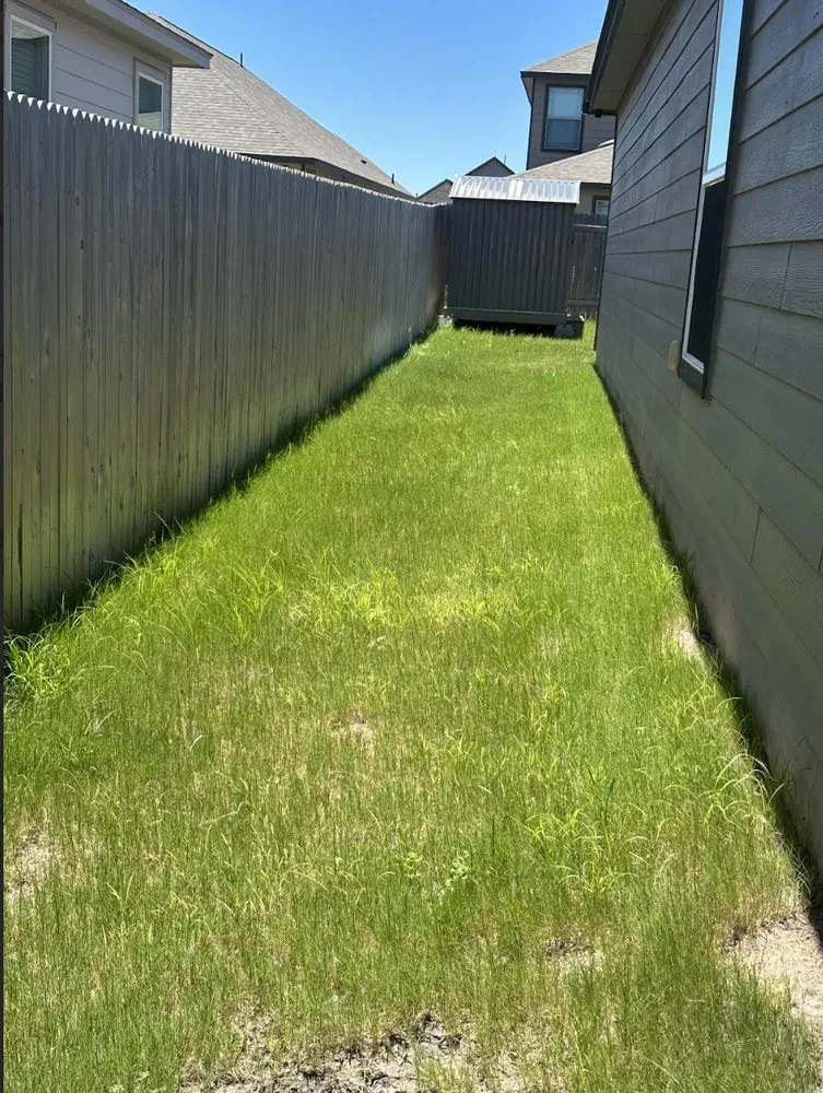 Affordable landscaping services in Lockhart, TX by Hernandez’s Landscaping