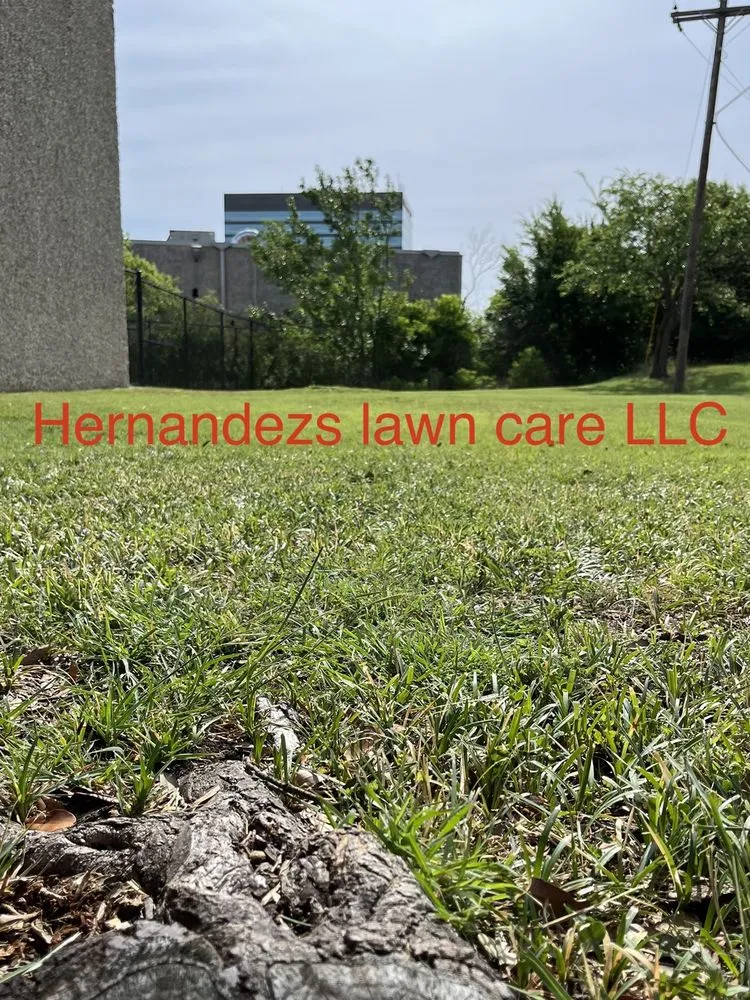 Professional outdoor landscaping in Houston, TX by Hernandezs Lawn Care