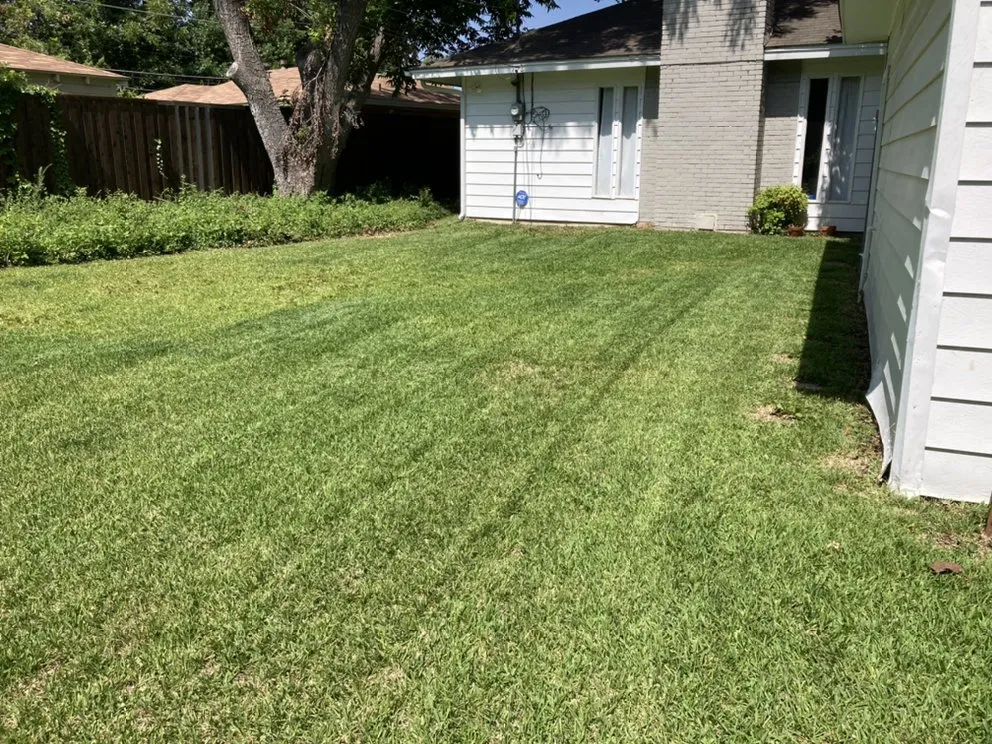 Top-rated yard maintenance near you across Houston, TX - Hernandezs Lawn Care