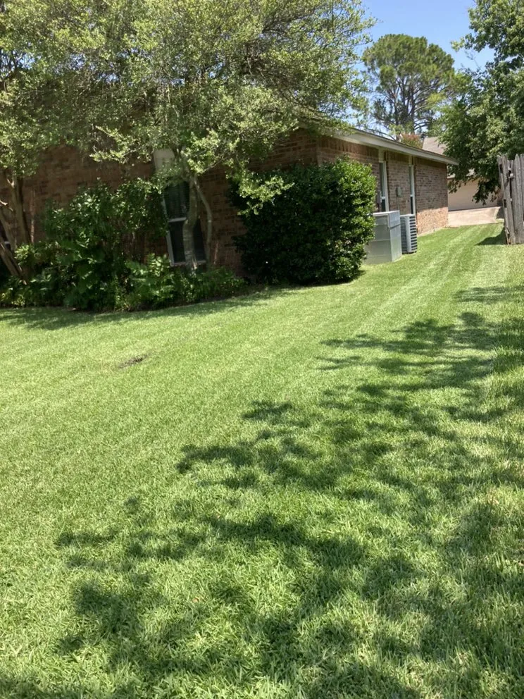 Custom lawn care service experts serving Houston, TX - Hernandezs Lawn Care