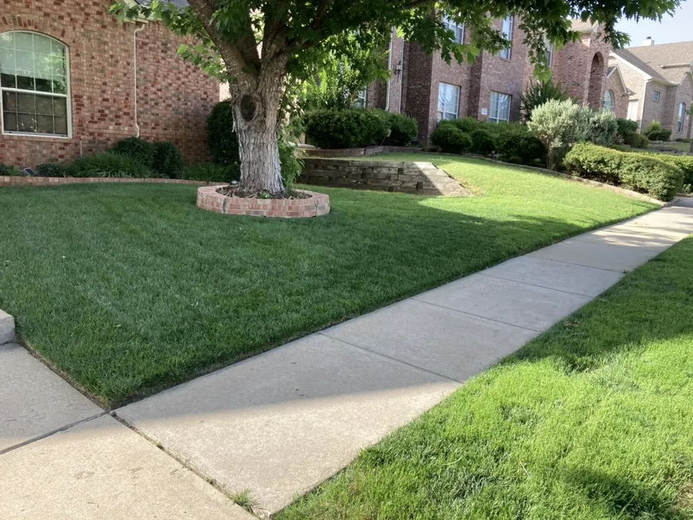 Professional yard maintenance in Houston, TX - Hernandezs Lawn Care