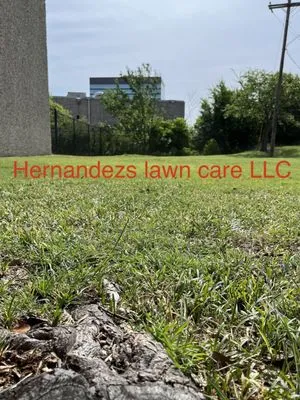 Hernandezs Lawn Care Logo