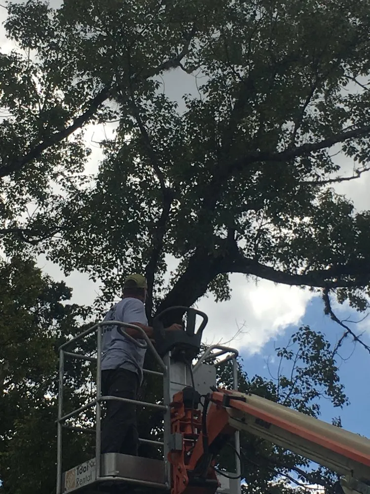 Custom lawn care service experts serving Hernando Beach, FL - Hernando Beach Lawn Maintenance