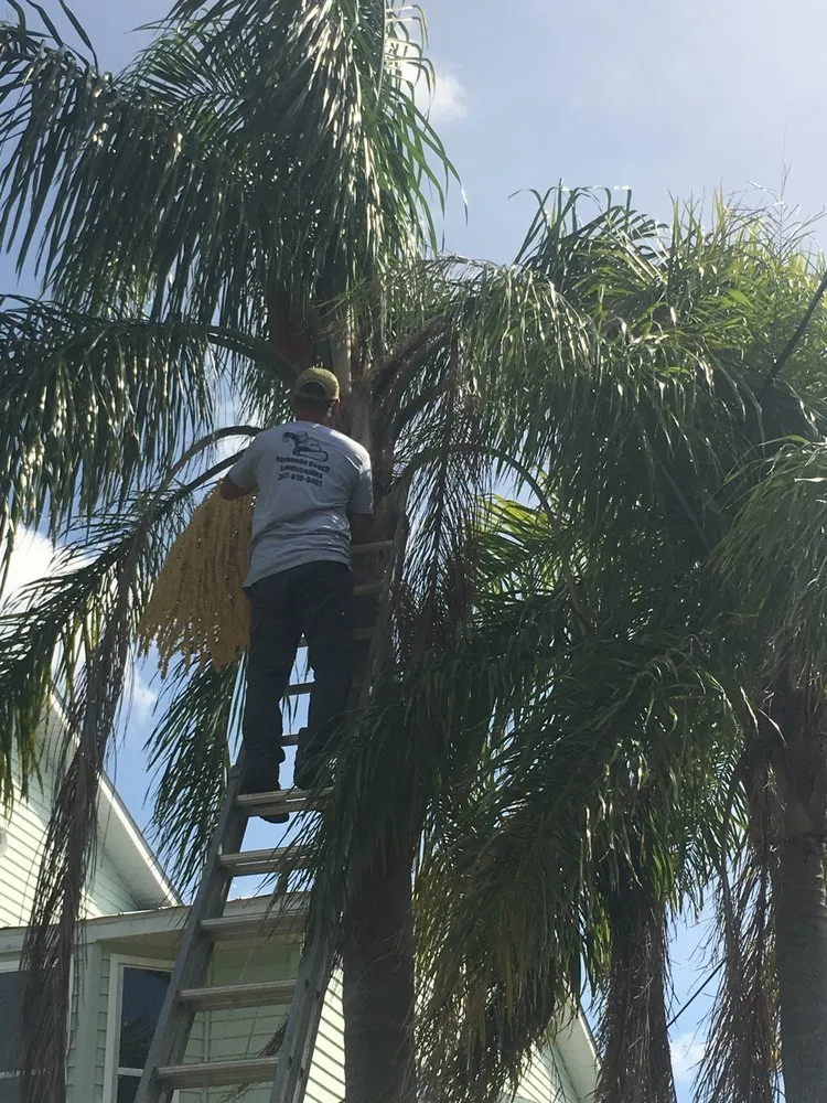 Top-rated yard maintenance experts serving Hernando Beach, FL - Hernando Beach Lawn Maintenance