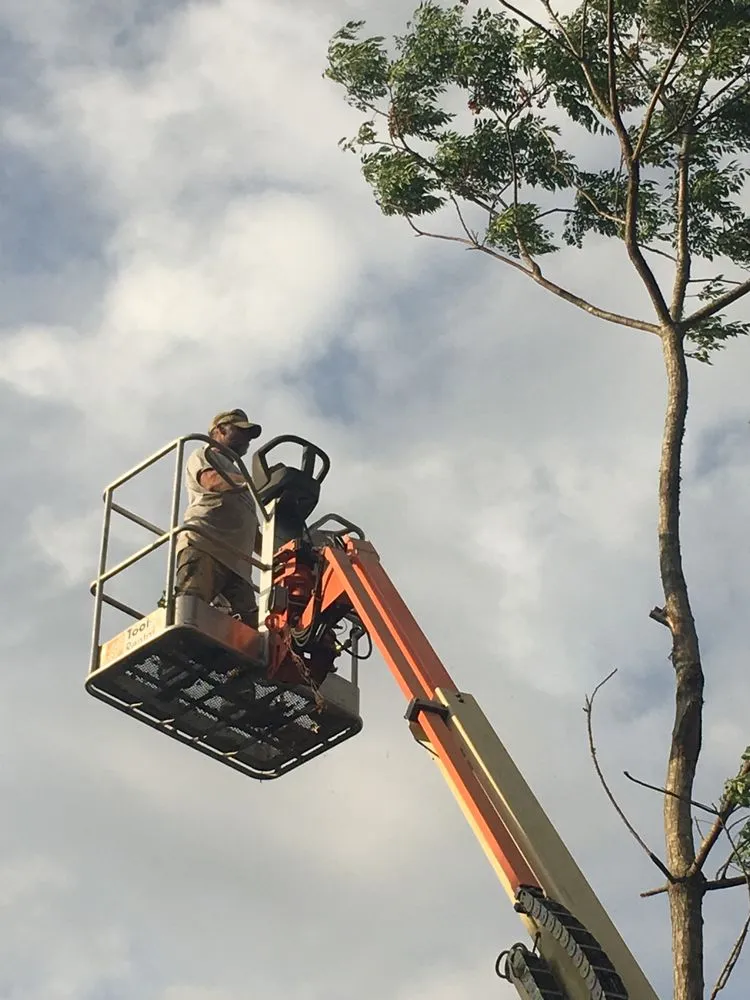 Local landscape installation in Hernando Beach, FL - Hernando Beach Lawn Maintenance