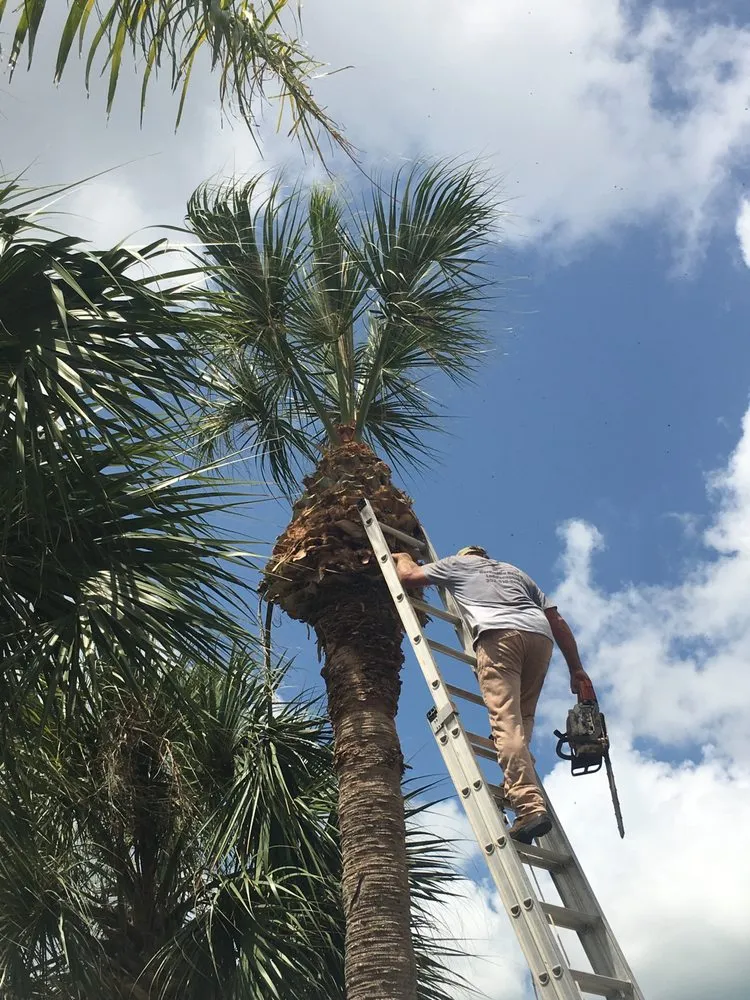 Professional outdoor landscaping in Hernando Beach, FL - Hernando Beach Lawn Maintenance