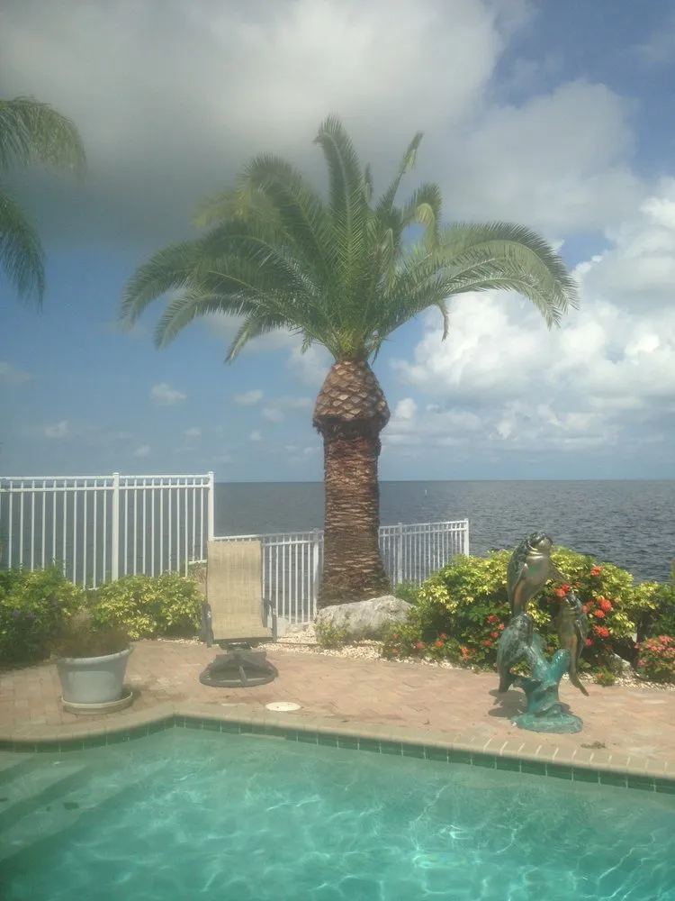 Local yard cleanup service for homes in Hernando Beach, FL by Hernando Beach Lawn Maintenance