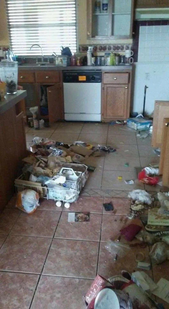 Reliable landscape design near you across Las Cruces, NM - Hernando Home Preservation