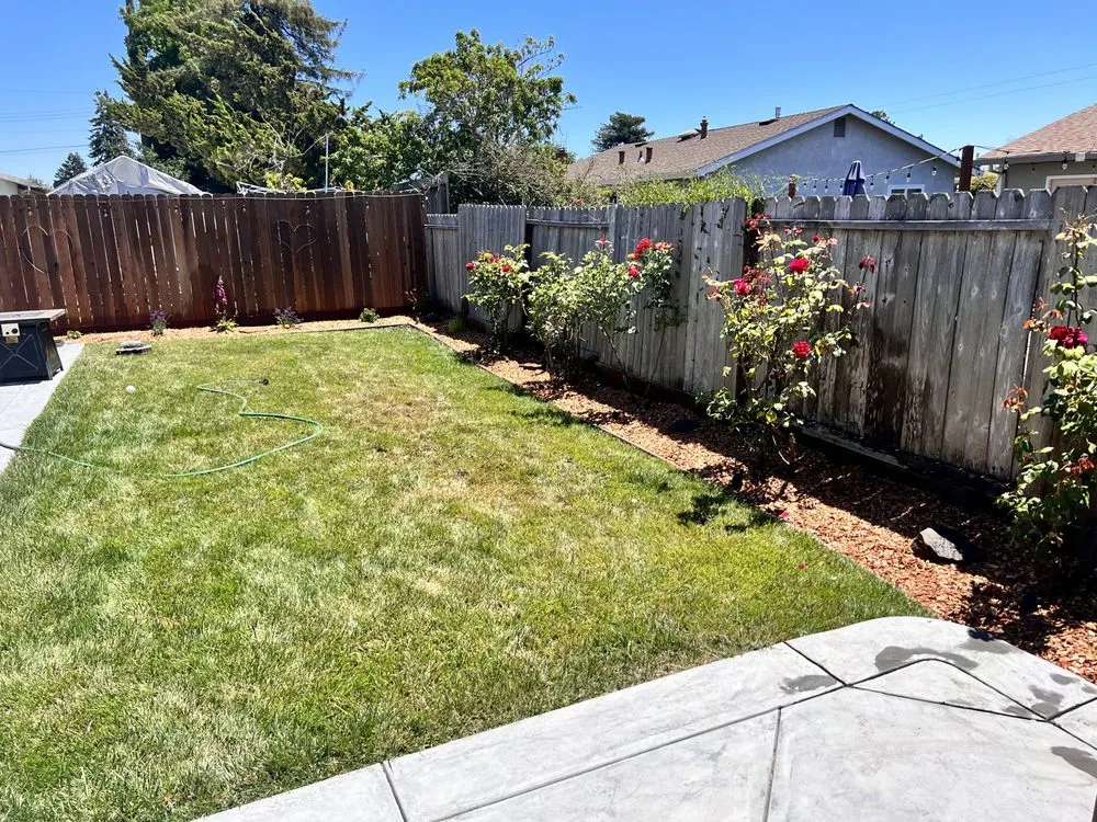 Local landscape design in Petaluma, CA by Hernando Landscaping Service