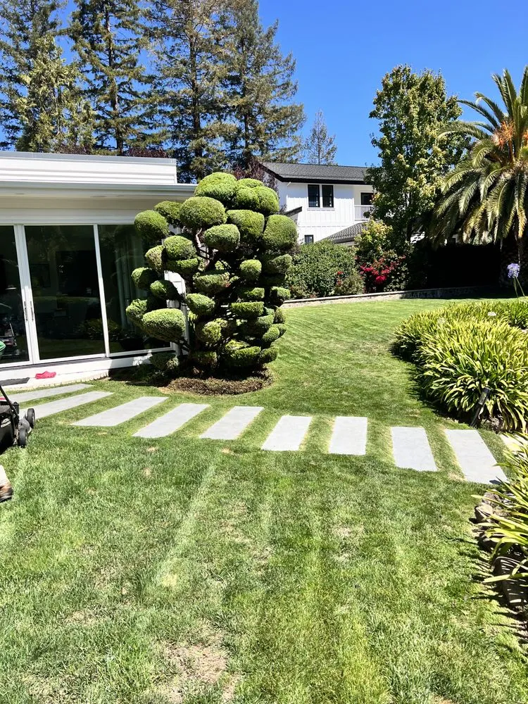 Reliable yard maintenance for outdoor upgrades in Petaluma, CA by Hernando Landscaping Service