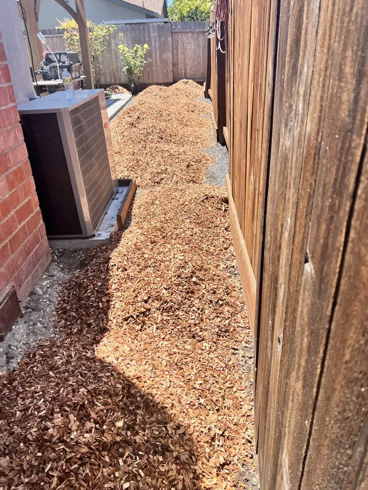 Expert landscaping services for outdoor upgrades in Petaluma, CA by Hernando Landscaping Service