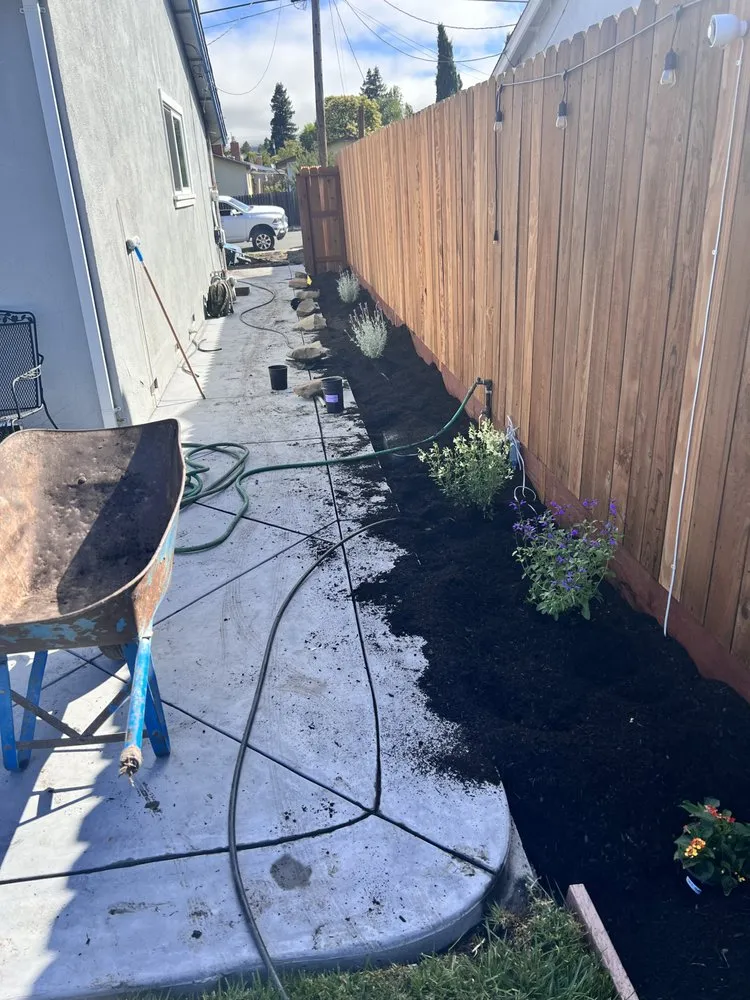 Trusted landscape installation experts serving Petaluma, CA - Hernando Landscaping Service