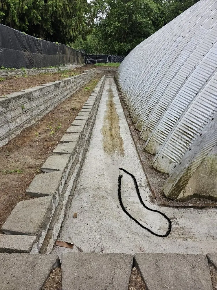 Reliable outdoor landscaping for homes across Pflugerville, TX - Hernandoes It Right