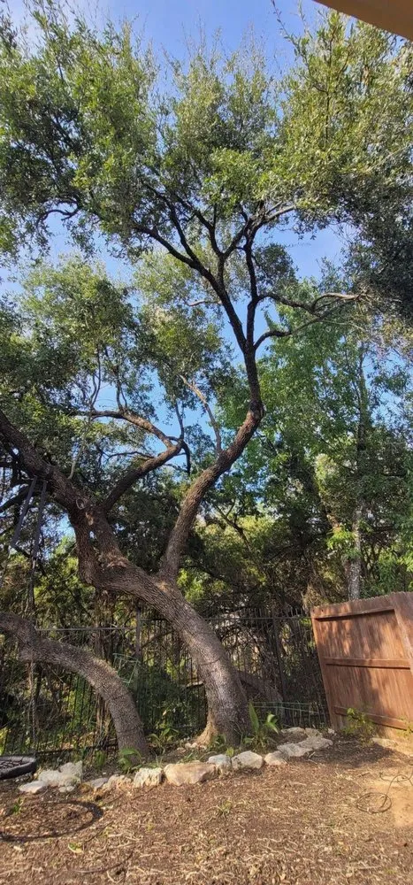 Reliable residential landscaping in Pflugerville, TX - Hernandoes It Right