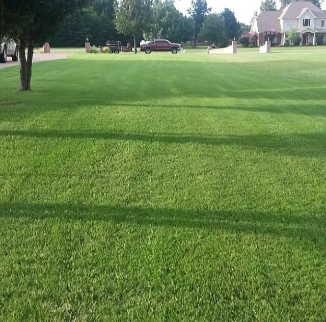 Affordable lawn care service for residential properties across Cordova, TN - Herndon Brothers Lawn Care