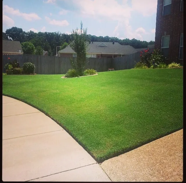 Affordable lawn mowing service in Cordova, TN - Herndon Brothers Lawn Care