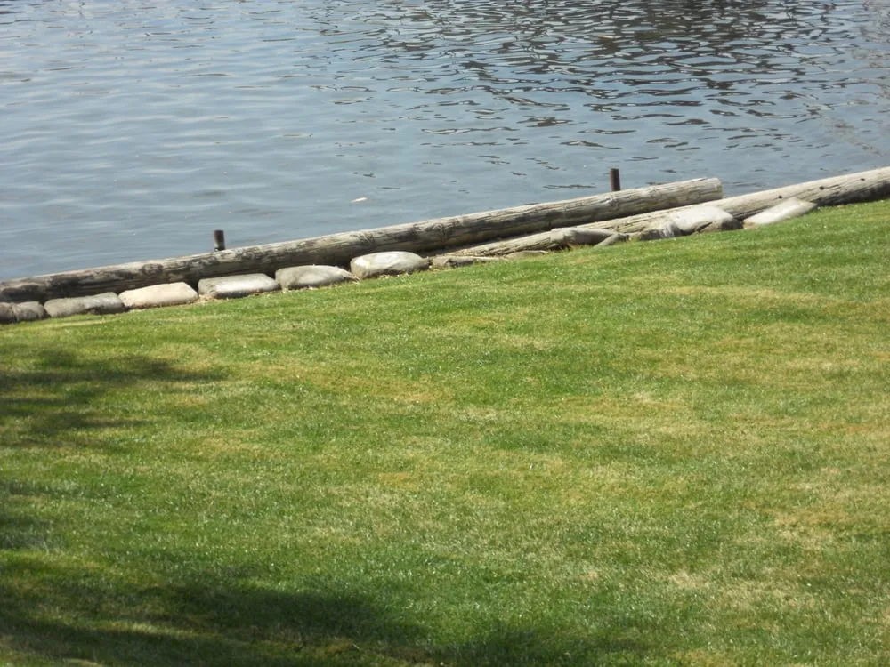 Top-rated lawn care service with custom design across Amarillo, TX - Herndon Lawns