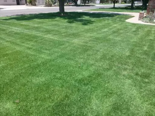 Expert lawn mowing service experts serving Amarillo, TX - Herndon Lawns