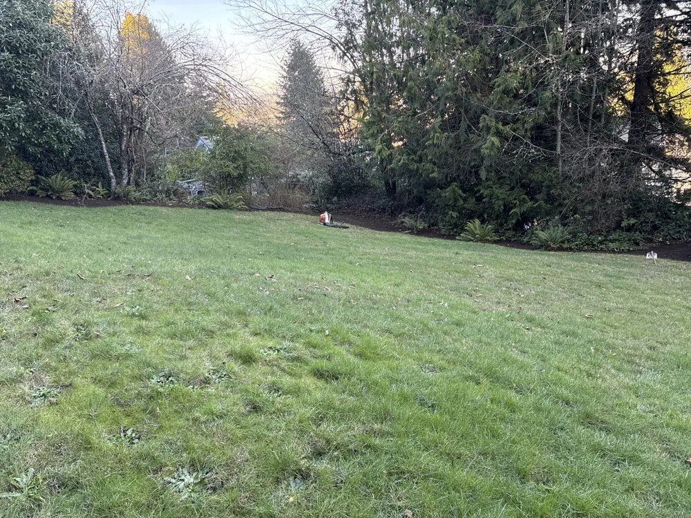 Top-rated garden landscaping for outdoor upgrades in Bremerton, WA by Hernández Junk Removal Service