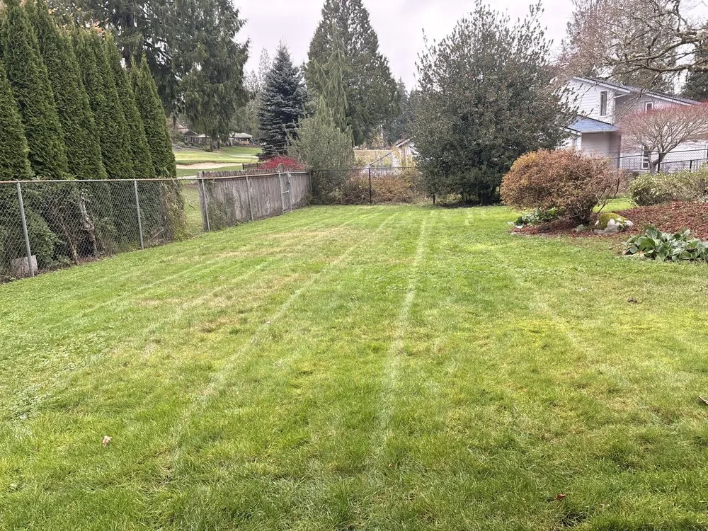 Expert landscaping services in Bremerton, WA - Hernández Junk Removal Service