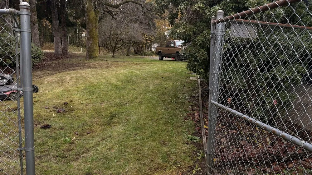 Top-rated lawn care service for year-round maintenance in Bremerton, WA by Hernández Junk Removal Service