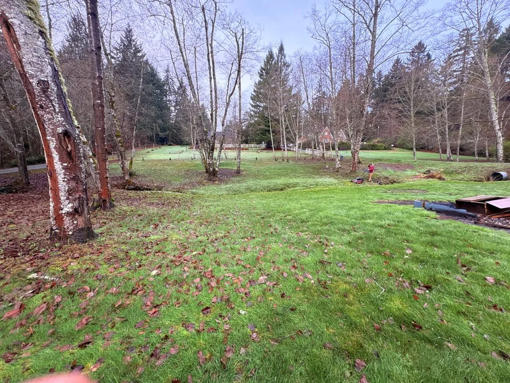 Trusted residential landscaping near you in Bremerton, WA by Hernández Junk Removal Service