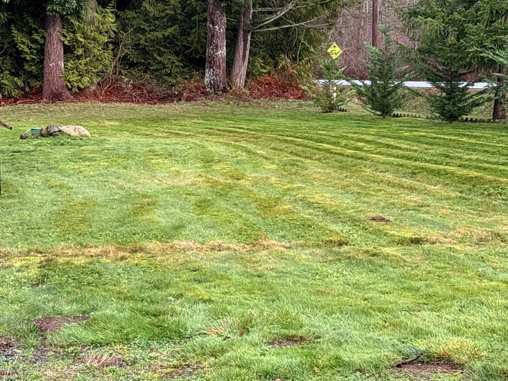 Affordable garden landscaping in Bremerton, WA by Hernández Junk Removal Service