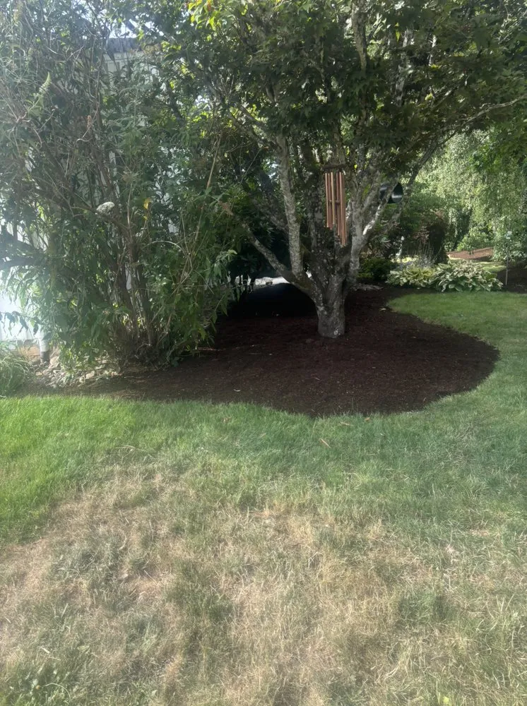 Expert landscaping services experts serving Albany, OR - Hernández Lawn Service