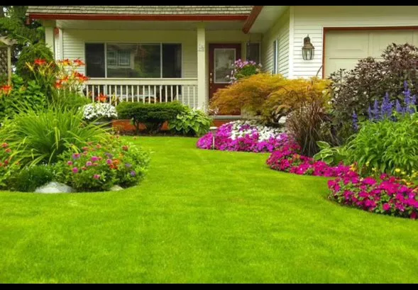 Professional landscape installation in Albany, OR - Hernández Lawn Service